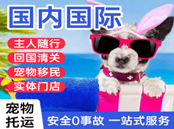 贡嘎航空托运国际宠物托运 【国